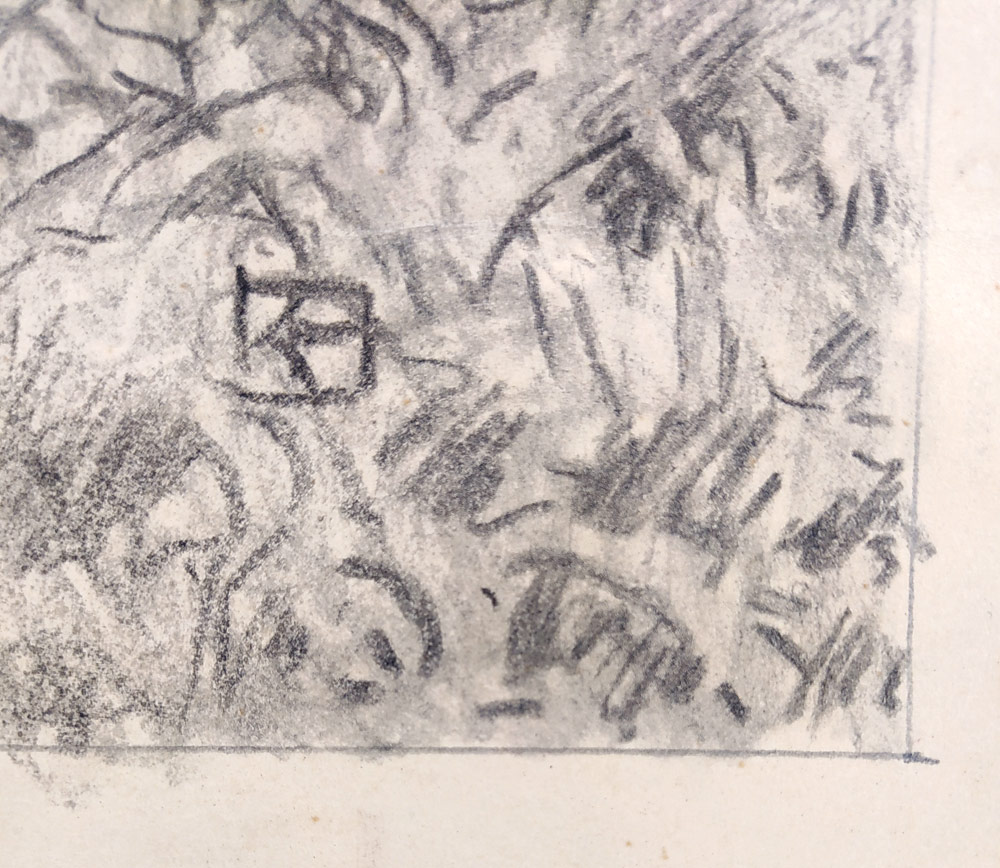 Hildprandt Karel z Ottenhausenu – Lesní zátiší, rozměrná kresba tužkou, 1950