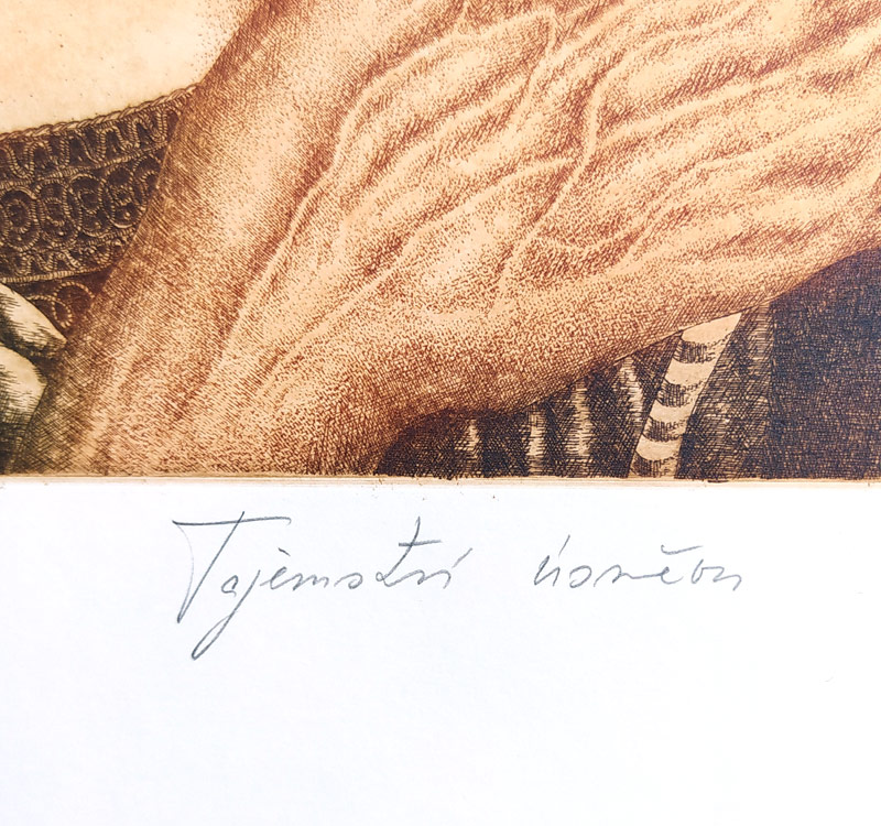 Čápová Hana – Tajemství úsměvu, barevný lept, autorský tisk, 2007