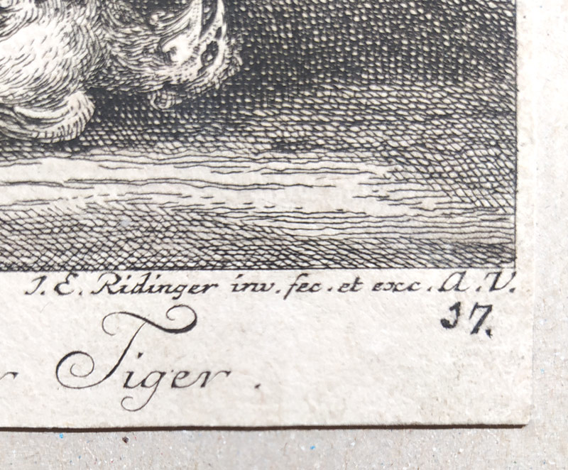 Ridinger Johann Elias – Tygr si hraje s dravcem, původní mědiryt, ca 1740