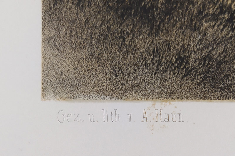 České Budějovice – August Haun, původní tónovaná litografie, 1864