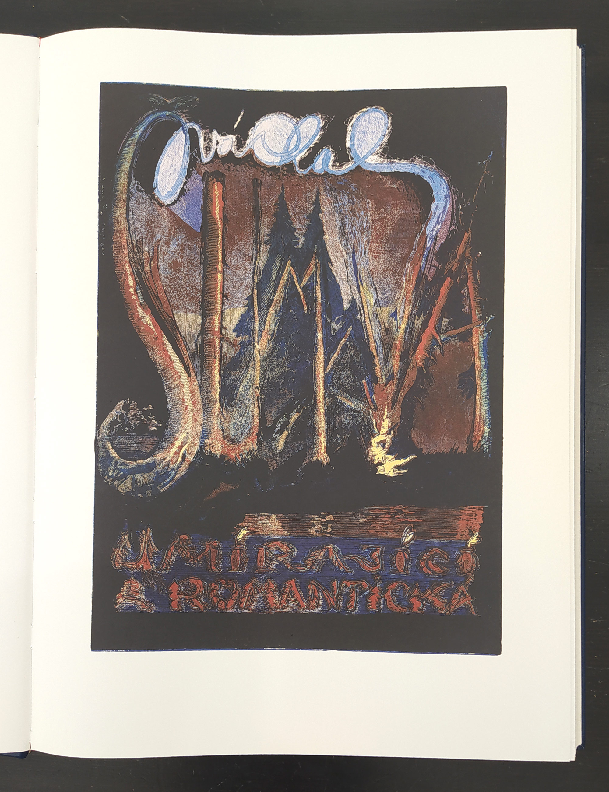 Váchal Josef – Šumava umírající a romantická (1931), Paseka, 2008