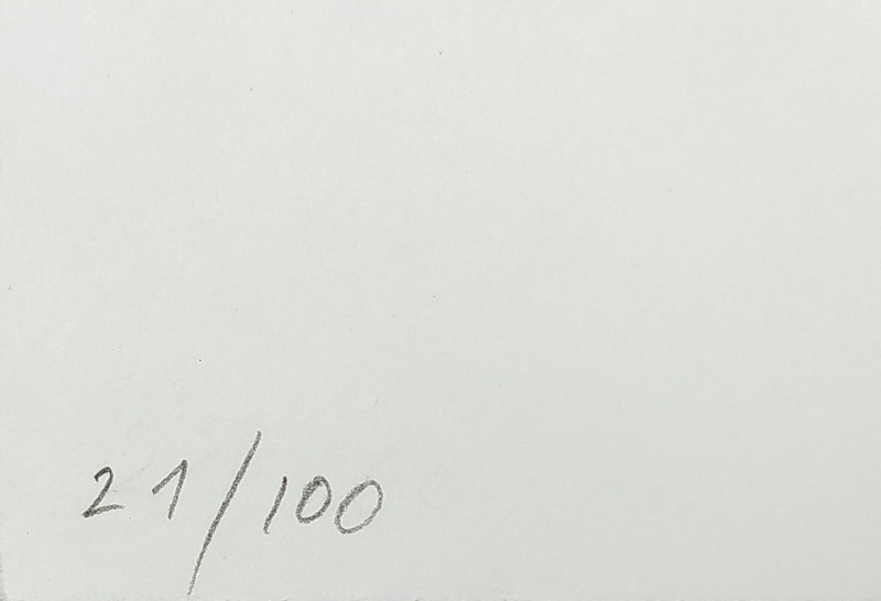Karlíková Olga – Skřivani, původní litografie, číslováno 21/100, 1998