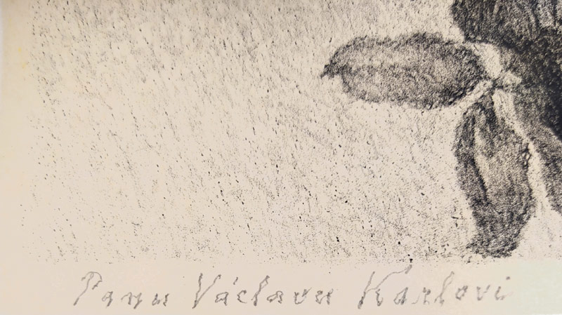 Švabinský Max – Velká kytice růží, původní rozměrná litografie s barevným podtiskem, 1954