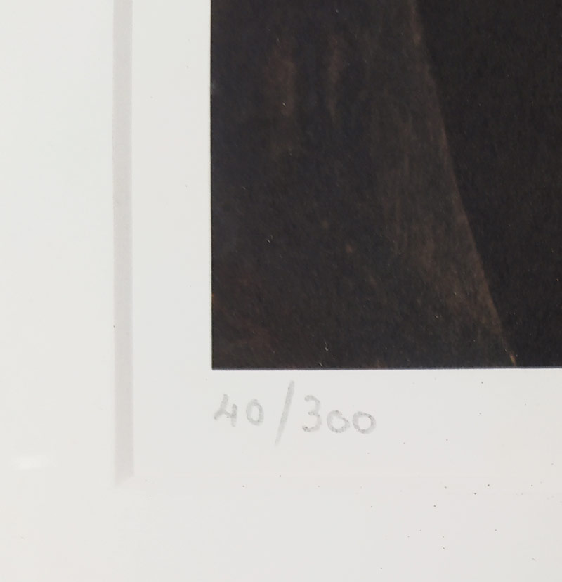 van Tuerenhout, Jef – Žena s květinami, velkoformátová barevná litografie, číslováno 40/300, ca 1970