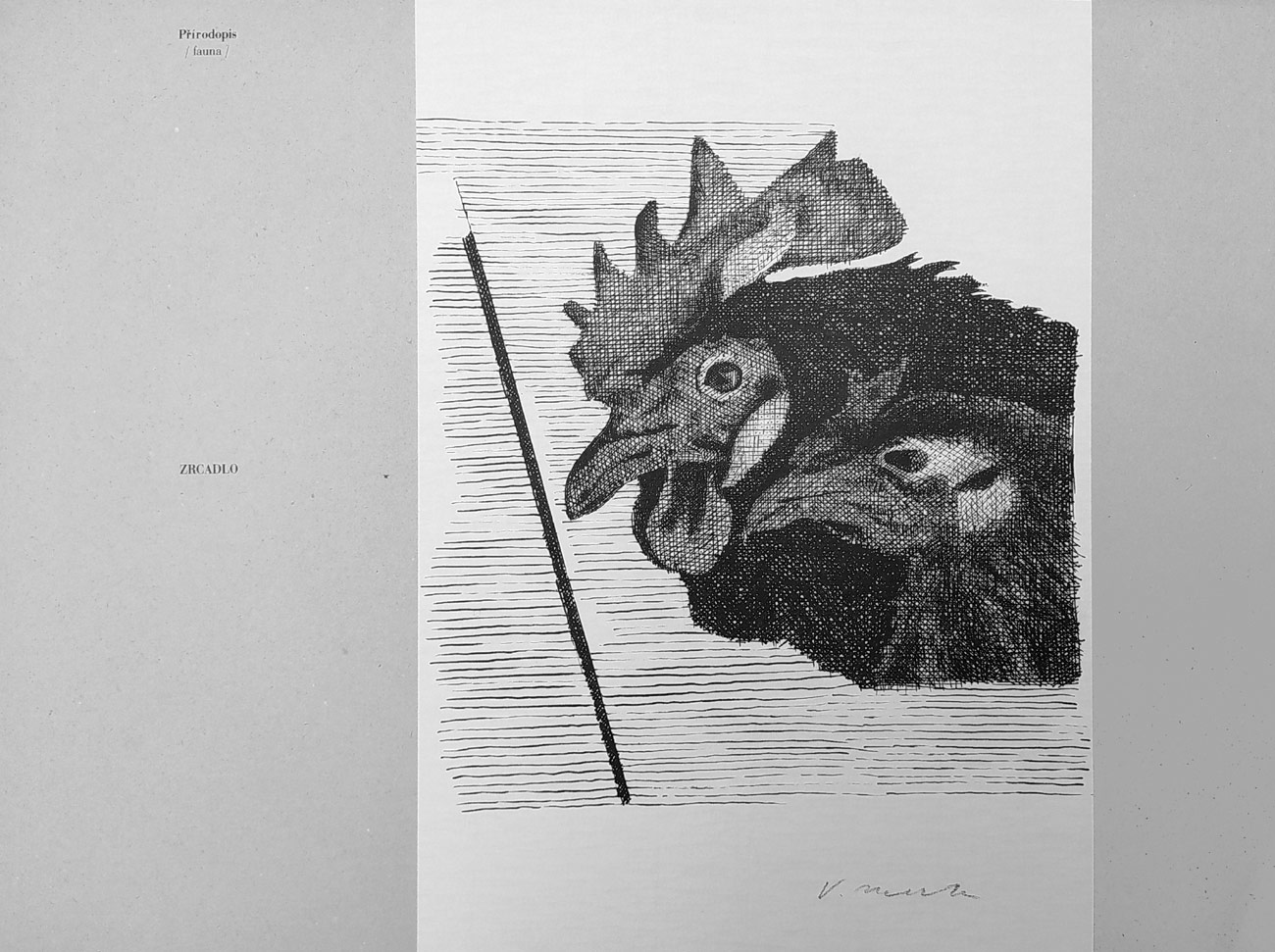 Přírodopis / Fauna / – Vladimír Merta, pět reprodukcí kreseb, album, 1997