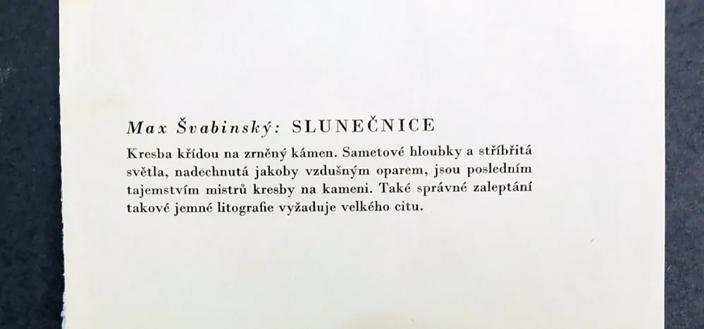 Švabinský Max – Slunečnice III, původní litografie, 1947