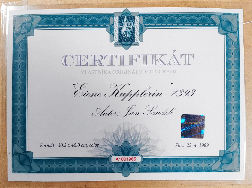 Saudek Jan – Eine Kupplerin #393, kolorovaná autorská fotografie, 1989