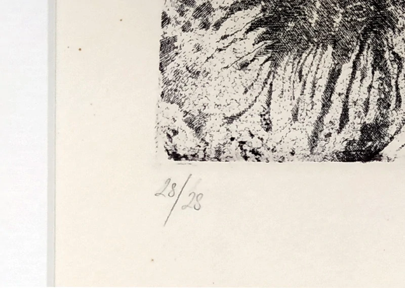 Čápová Hana – Koně v ledu, signovaný lept, č. 28/28, 1983