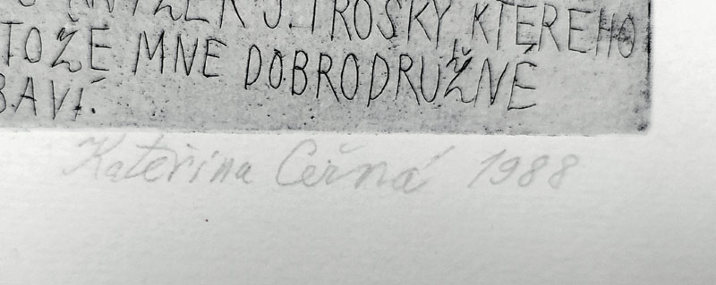 Černá Kateřina – Miloš Novák, Obraz pivoněk, kombinovaná technika, č. 11/40, 1988