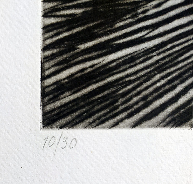 Černá Kateřina – Růže, lept, č. 10/30, 1981