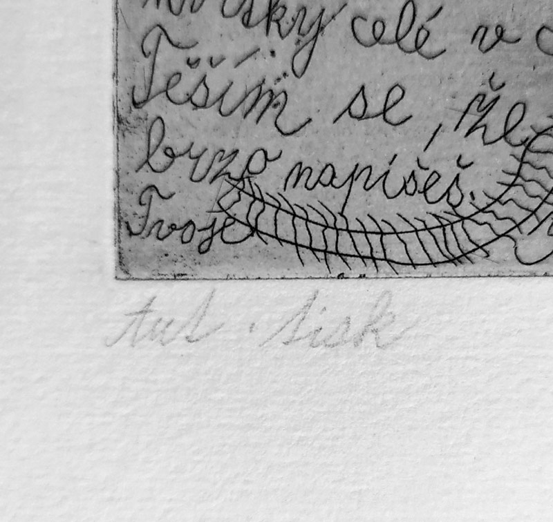 Černá Kateřina – Kytice z bílých růží, lept, autorský tisk, 1982