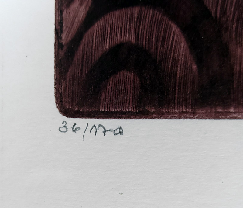 Richterová Marina – Flamenco, signovaný barevný lept, ex. č. 36/170, 2002