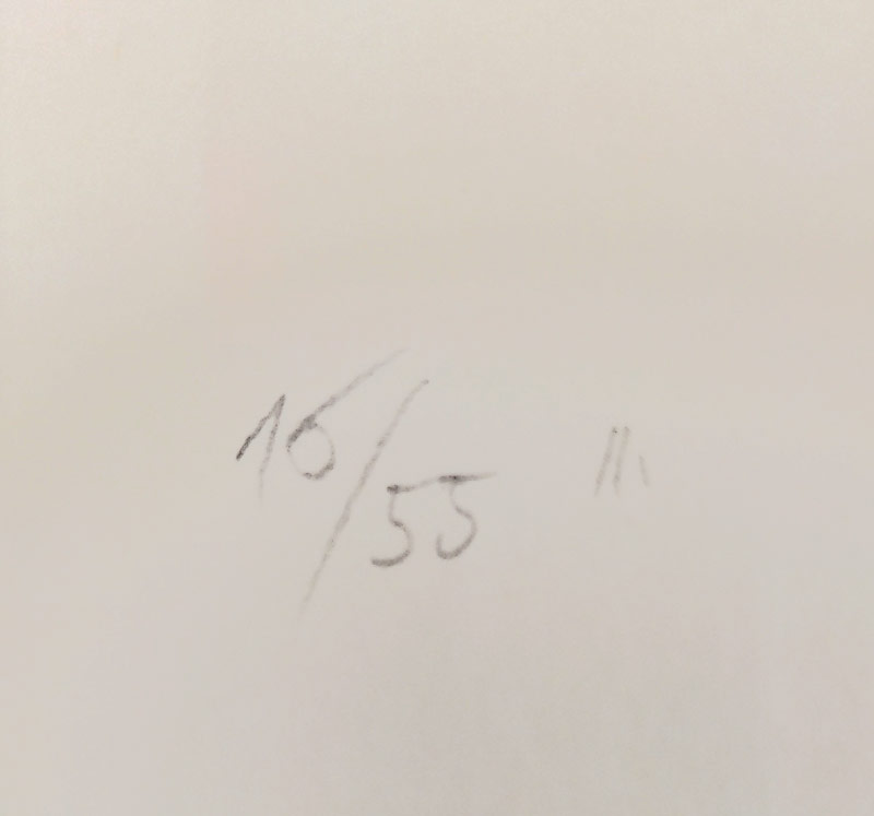 Janeček Ota – Dívčí akt, původní litografie, číslováno 16/55, 70. léta 20. stol.