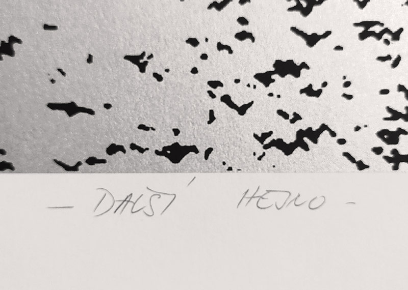 David Jiří – Další hejno, serigrafie, autorský tisk, 2001