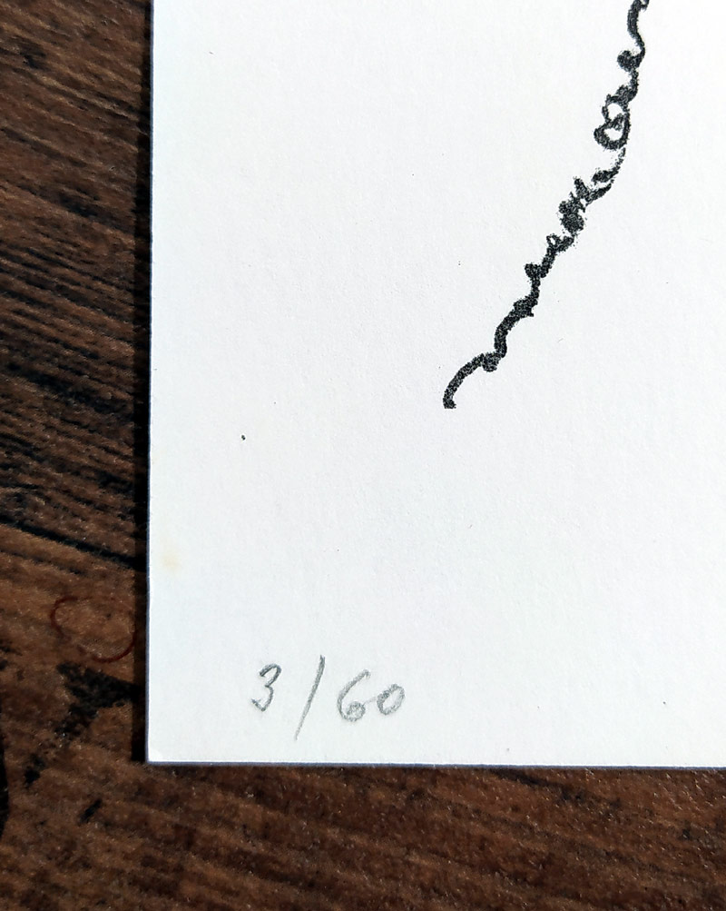 Karlíková Olga – Skřivani, původní litografie, číslováno 3/60, 1998