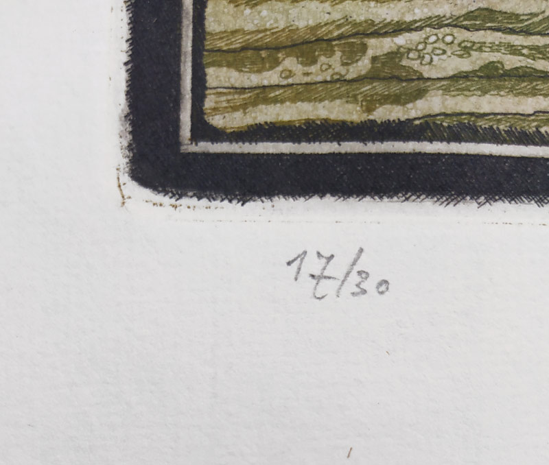 Liesler Josef – Opilý koráb, barevný lept, číslováno 17/30, nedatováno