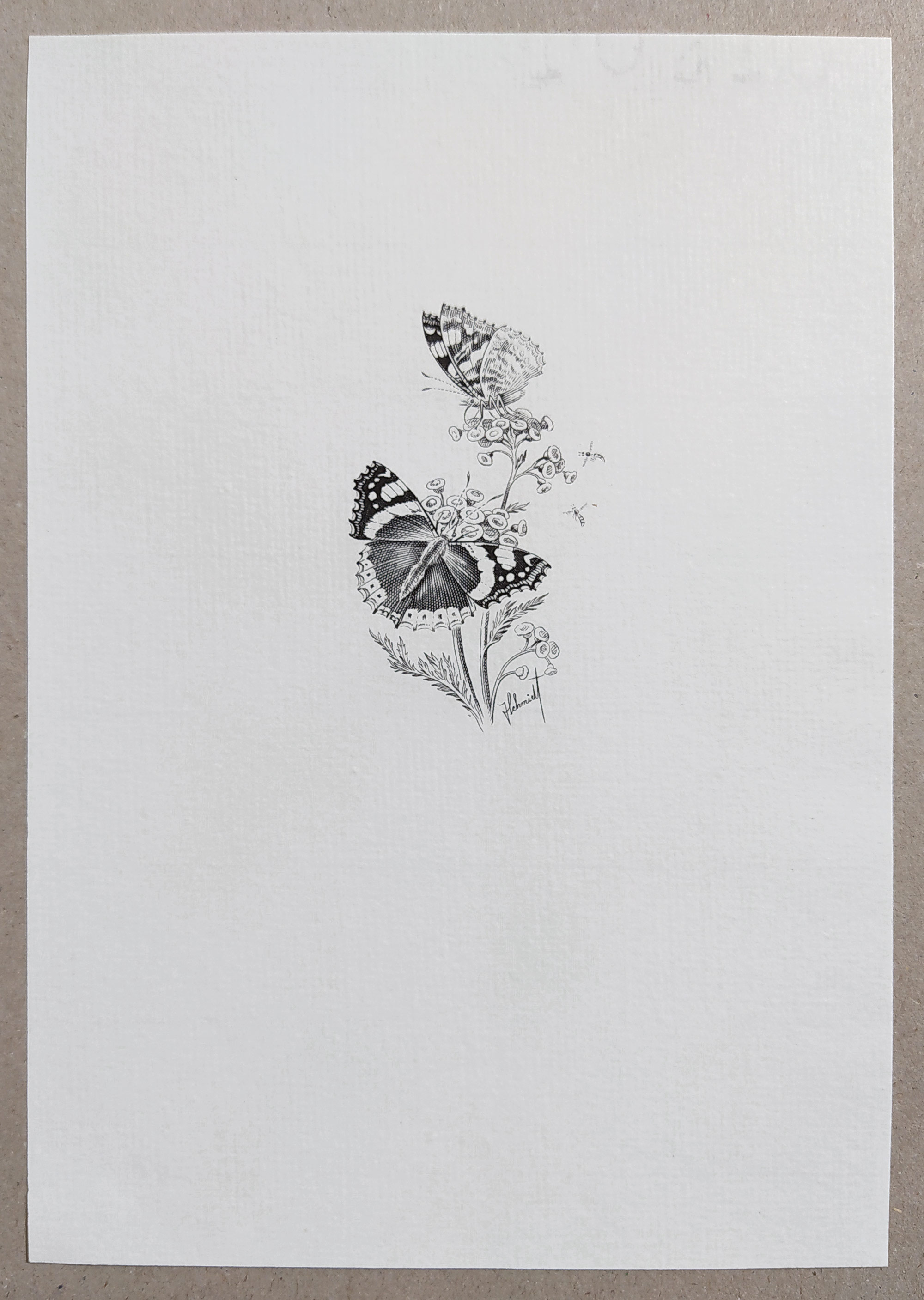 Schmidt Jindra – Motýli Jindry Schmidta, tři ocelorytiny, 1987