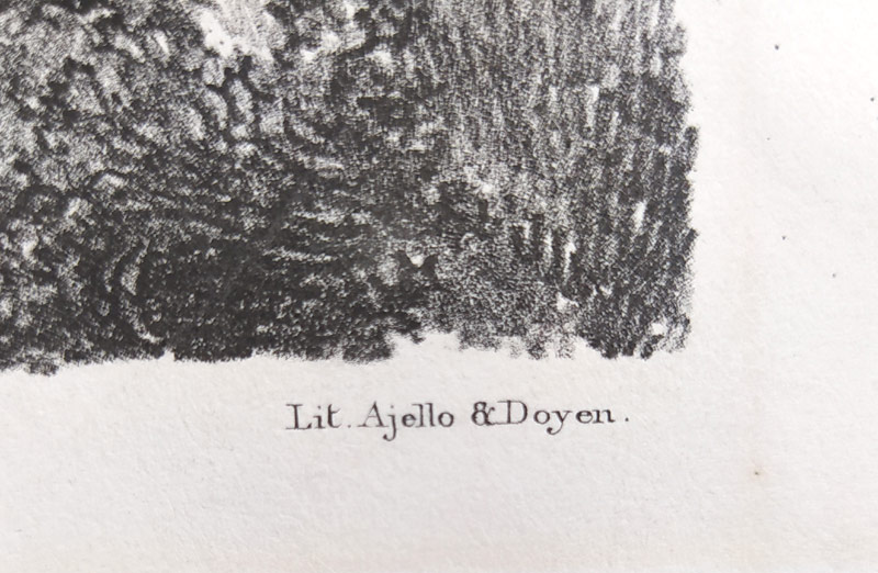 Bauduc Felice Cerruti – Solitaire, ze série Koně Carla Alberta, původní litografie, 1836