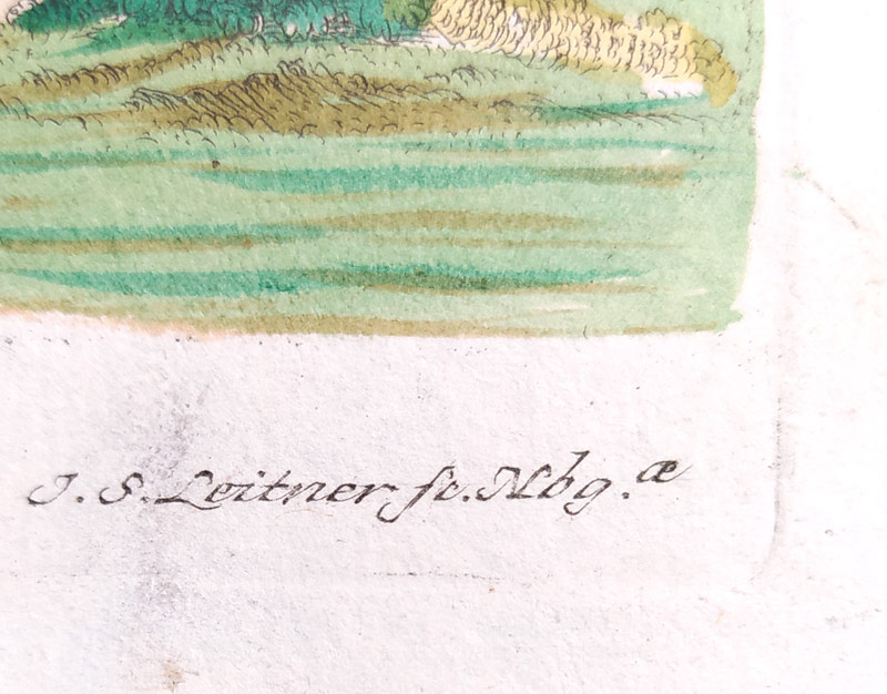 Leitner J. S. – Kočkodan, staře kolorovaný původní mědiryt, 1755