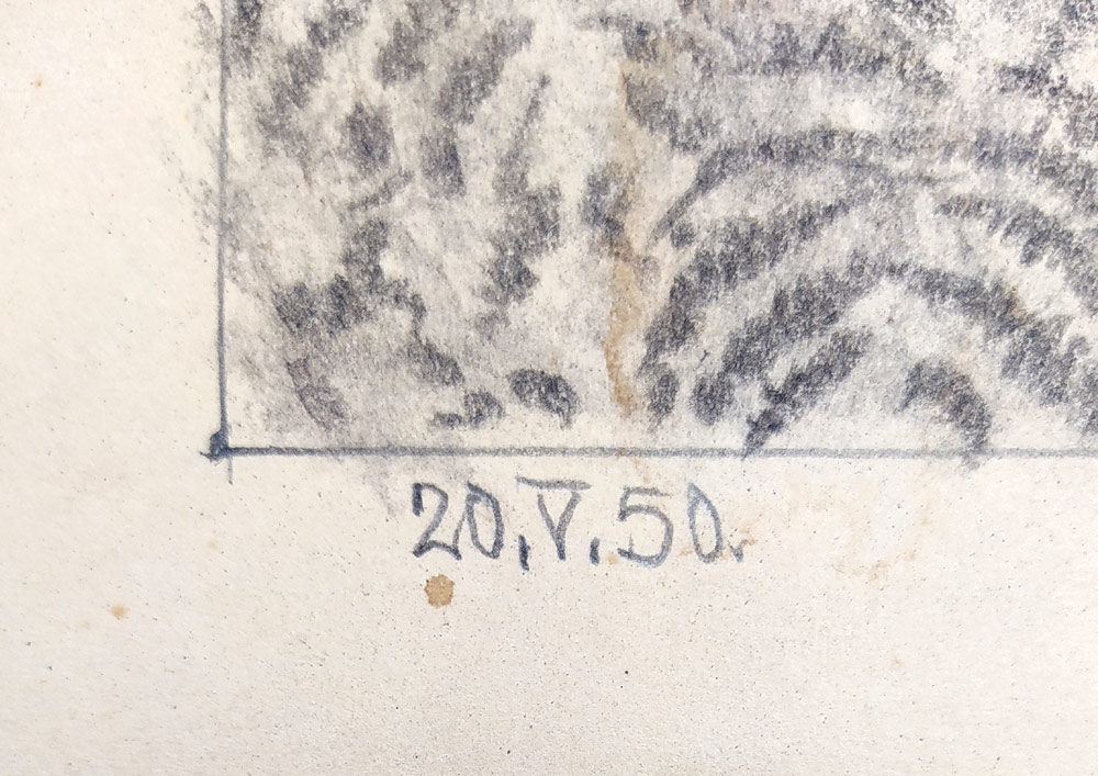 Hildprandt Karel z Ottenhausenu – Lesní zátiší, rozměrná kresba tužkou, 1950