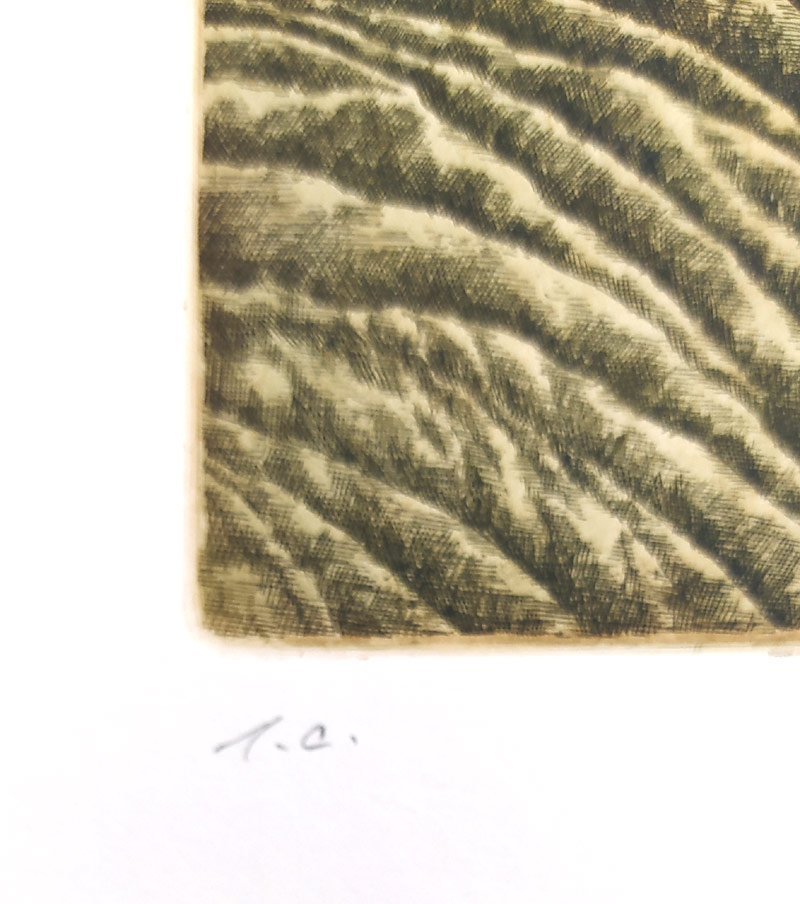 Čápová Hana – Tajemství úsměvu, barevný lept, autorský tisk, 2007