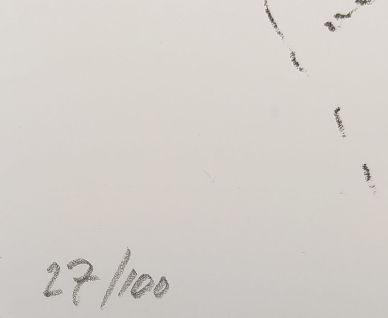 Karlíková Olga – Skřivani, původní litografie, číslováno 27/100, 1990