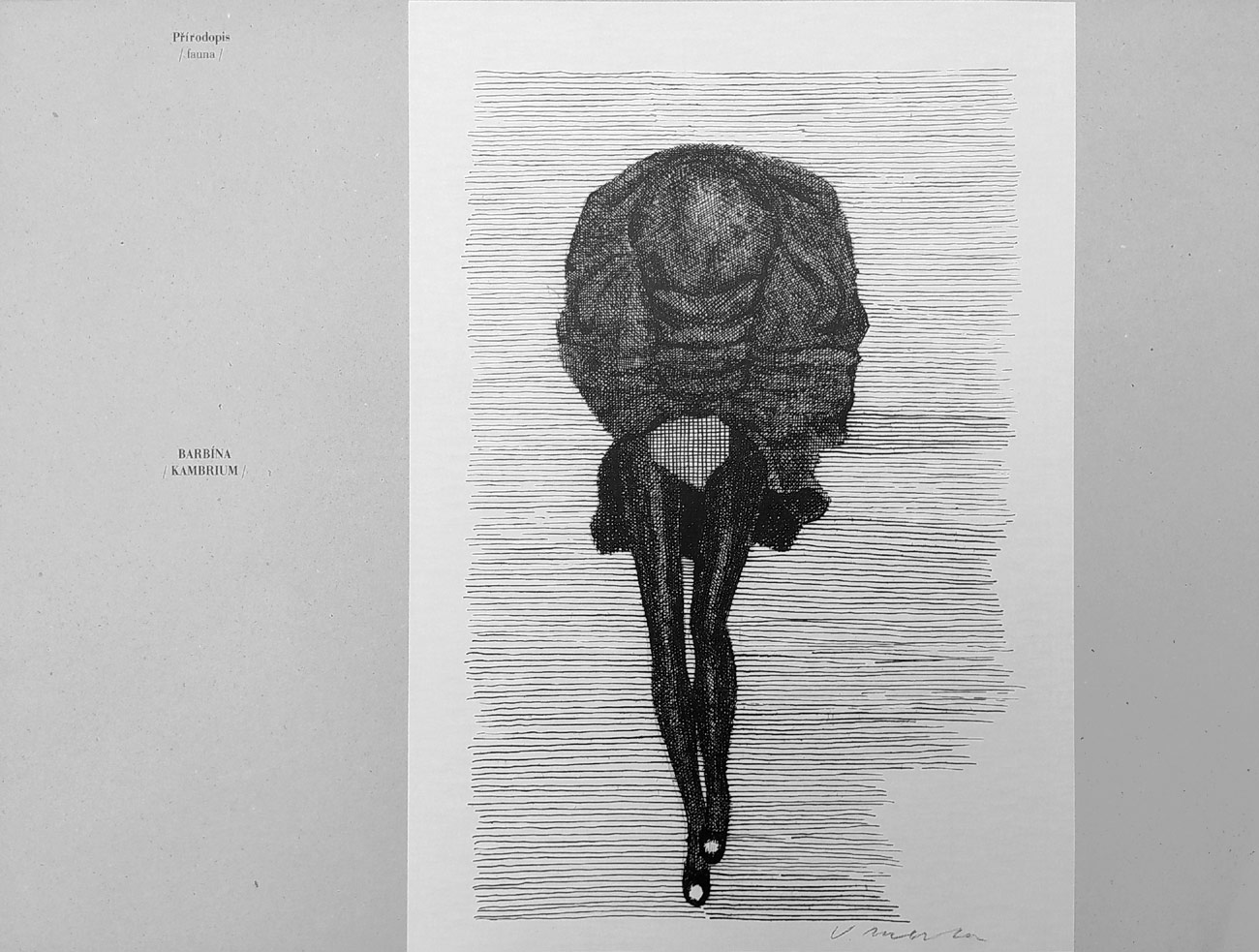 Přírodopis / Fauna / – Vladimír Merta, pět reprodukcí kreseb, album, 1997