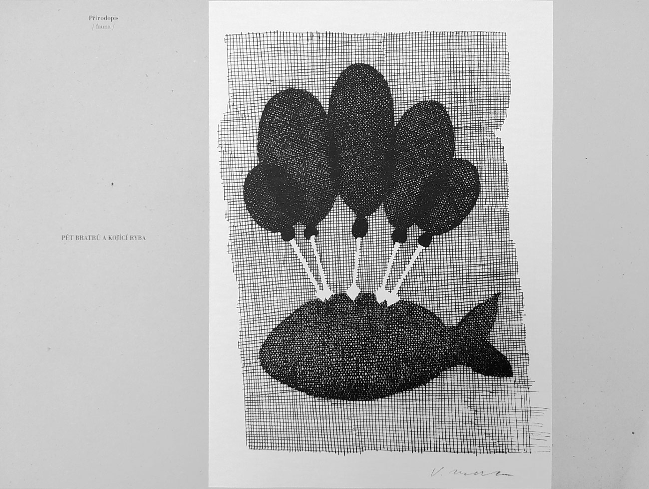 Přírodopis / Fauna / – Vladimír Merta, pět reprodukcí kreseb, album, 1997