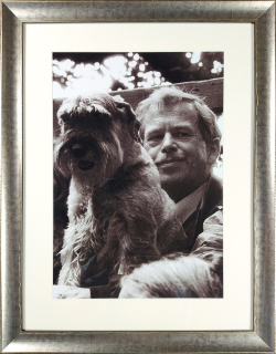 Rysová Hana – Václav Havel se svým psem Ďulou, velkoformátová autorská fotografie, ca 1990