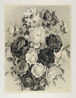 Švabinský Max – Velká kytice růží, původní rozměrná litografie s barevným podtiskem, 1954