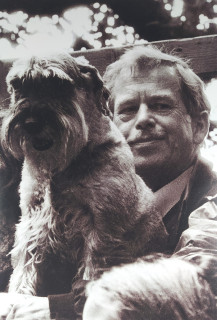 Rysová Hana – Václav Havel se svým psem Ďulou, signovaná velkoformátová autorská fotografie, ca 1990