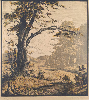 Jágr Bohuš – Krajina s mohutným stromem, barevný dřevoryt, ca 1930