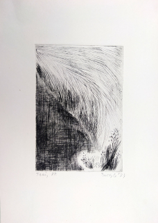 Brodská Eva – Trávy VII., kombinovaná technika, lept, suchá jehla, 1974