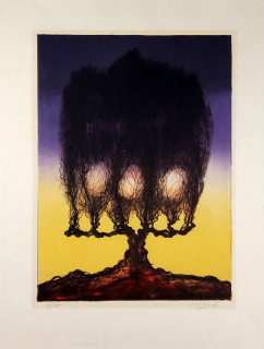 Sivko Václav – Strom, barevná litografie, 1969, grafický list na prodej