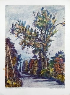 Dlabola Karel – Starý topol, původní barevná litografie, 1978
