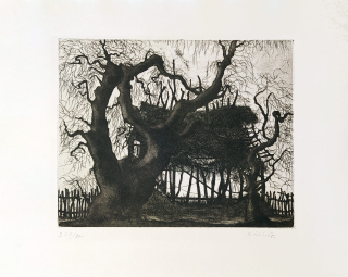 Sivko Václav – Přístřeší v zahradě, původní suchá jehla, 1945
