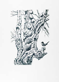 Cinybulk Vojtěch – Po zimě, barevná litografie, ca 1980