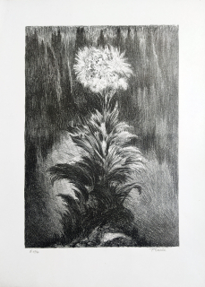 Kobliha František – Bez názvu, litografie č. 19/30, 1944–1946
