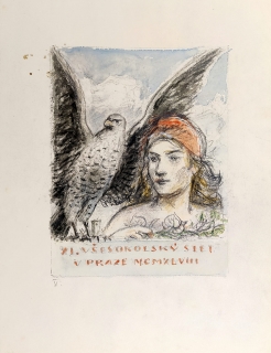 Nauman Arno – XI. všesokolský slet v Praze 1948, kresba tužkou kolorovaná akvarelem, 1948