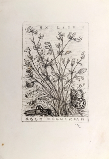 Nauman Arno – Návrh Ex libris, kresba tužkou, nedatováno