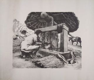 Beltrán Alberto – El Trapiche de Azucar, Puebla, Mletí cukrové třtiny, litografie, 1947