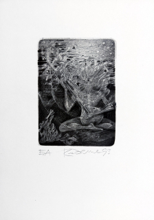 Demel Karel – Hra na sitár, lept a suchá jehla, autorský tisk, 1993