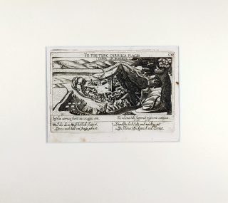 Tábor – Meissner Daniel, původní mědiryt, veduta, 1678