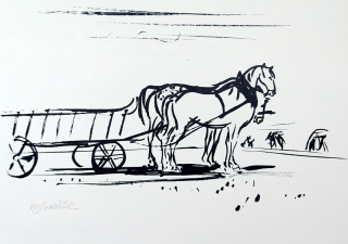 Sedláček Vojtěch – Koňský povoz se žebřiňákem, původní signovaná litografie, ca 1950