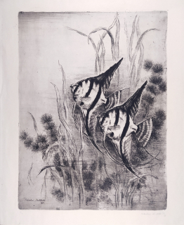 Knobloch Bohuslav – Skaláry, lept a suchá jehla, 1950