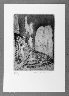 Matoušová Vlasta – Ex libris Ing. T. Flora, lept s barevným podtiskem, ca 1980