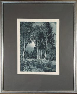 Toman Karel – Břízy, barevný lept, 1931