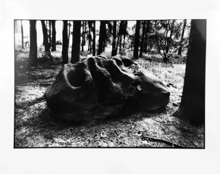 Rysová Hana – Boží kámen u Sosně, autorská fotografie, nedatováno