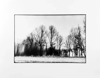 Rysová Hana – Na hladině, autorská fotografie, nedatováno