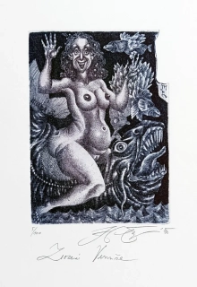 Čápová Hana – Zrození Venuše, Ex libris, barevný lept, číslováno 5/100, 1990